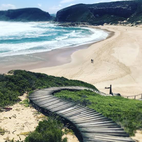 Plett